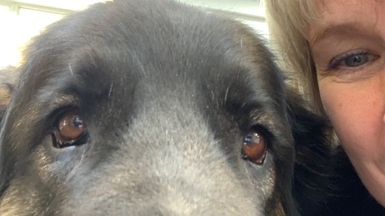 You are currently viewing Er du et stærkt menneske? Sandsynligvis ikke